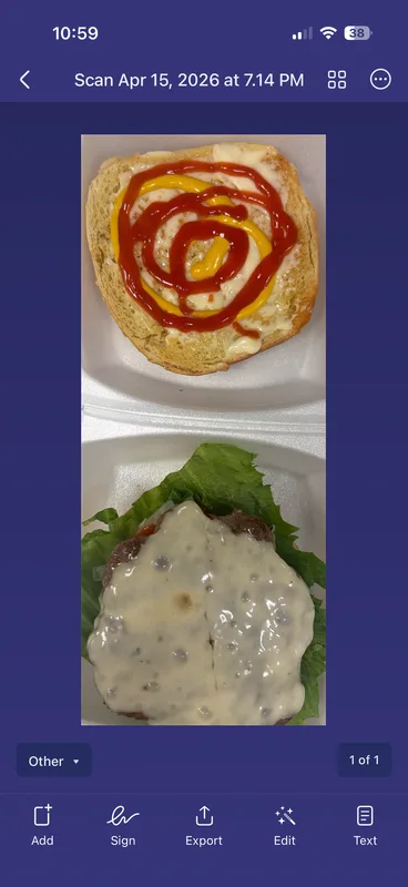 Veggie Burger